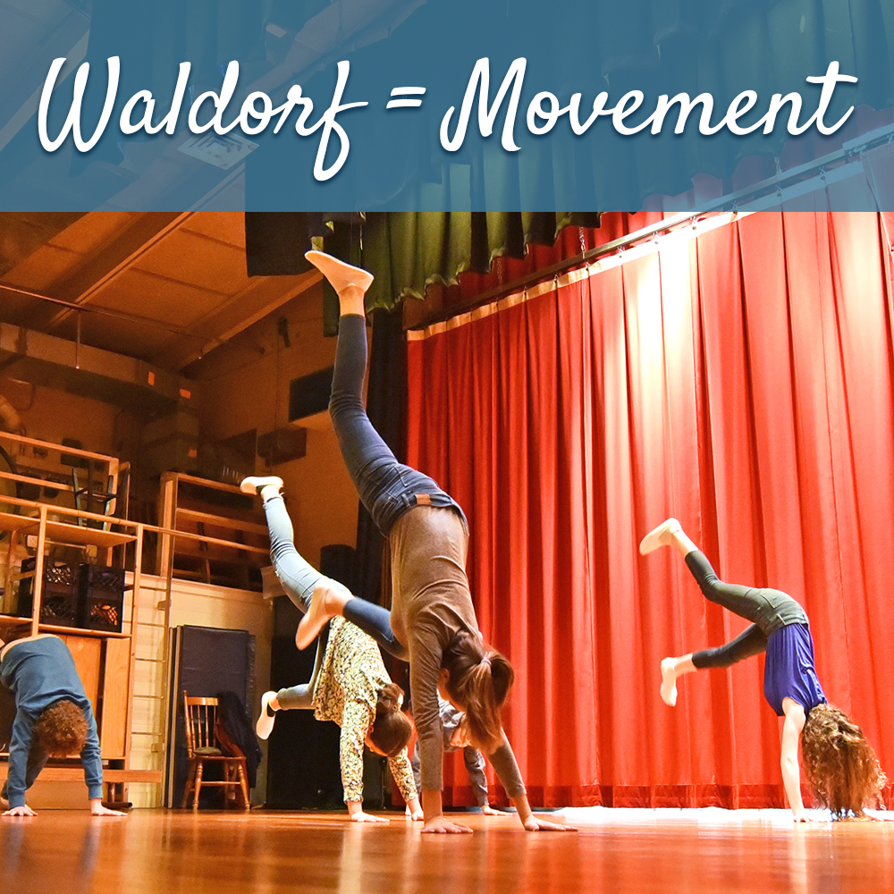 Waldorf-Movement-sq