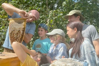 richmond waldorf school field trip to Spikenard Bee Sanctuary