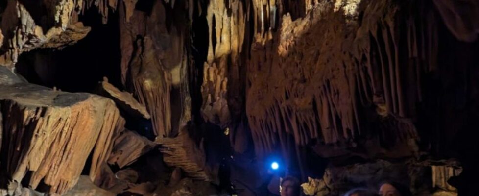 PXL_20231109_152936937.NIGHT