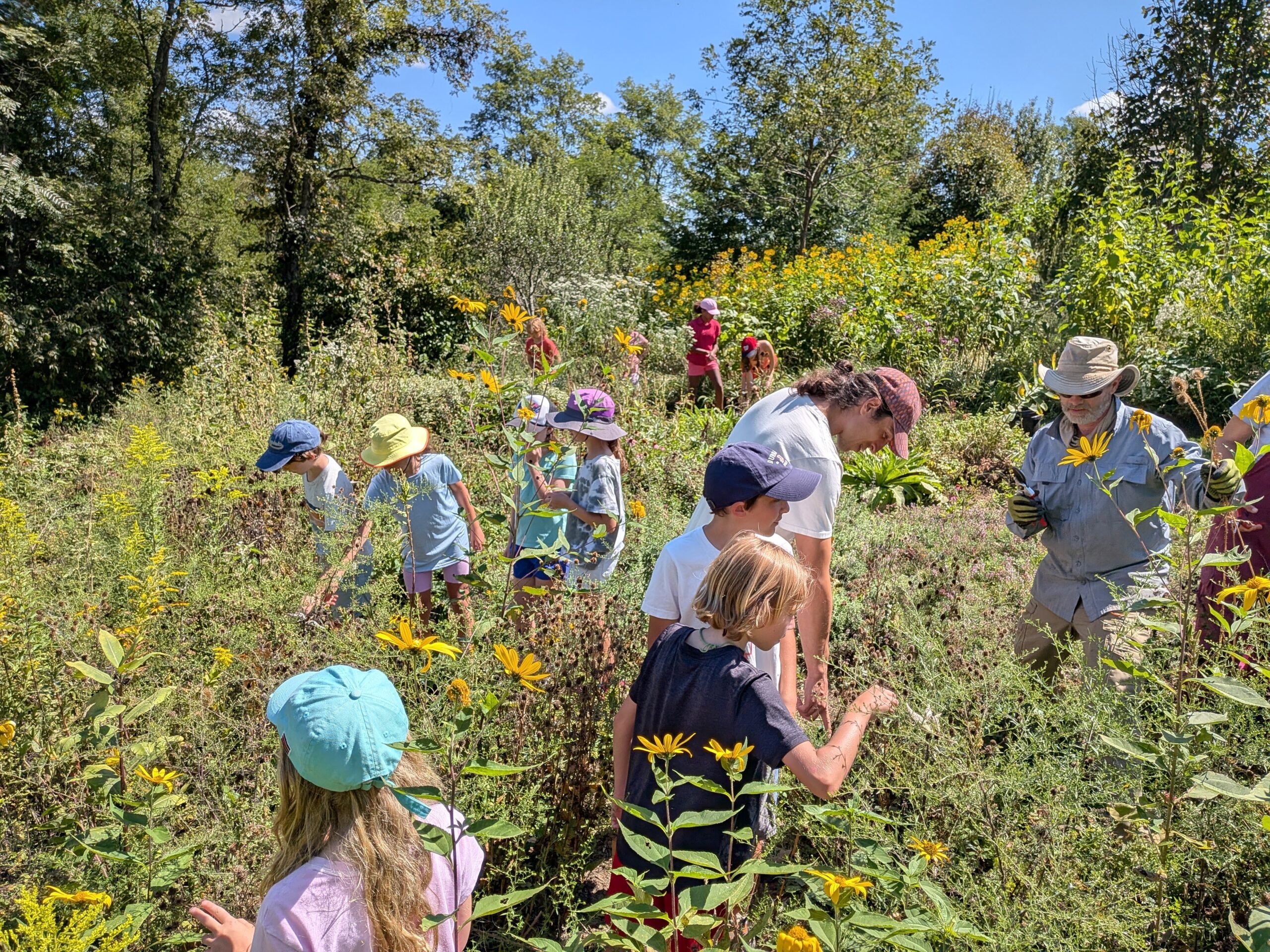 PXL_20250910_182301889 (3)